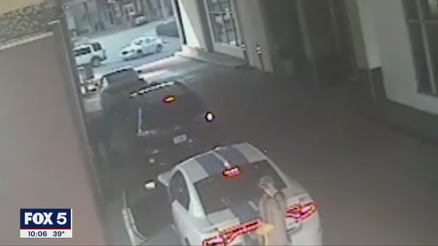 Police search for suspected car thief