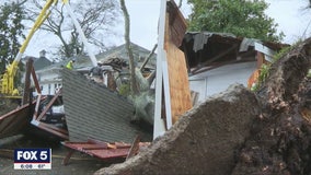 Tree smashes car and dental office in Carrollton