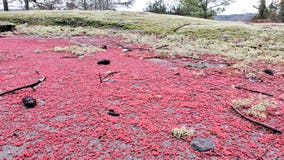 Panola Mountain 'morphs' into vivid red landscape