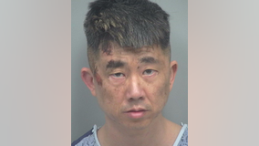 Police: Man runs into traffic after allegedly killing mom