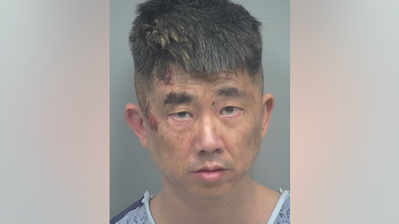 Police: Man runs into traffic after allegedly killing mom