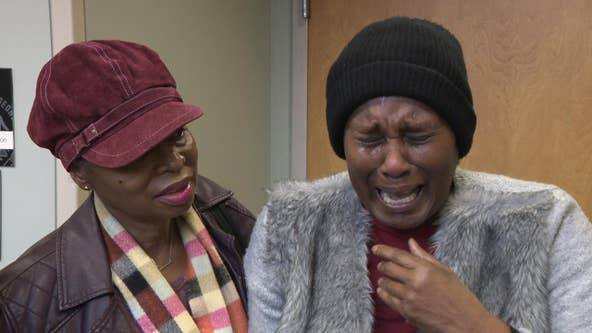 Judge orders troubled tree cutter to jail while crying customers demand more