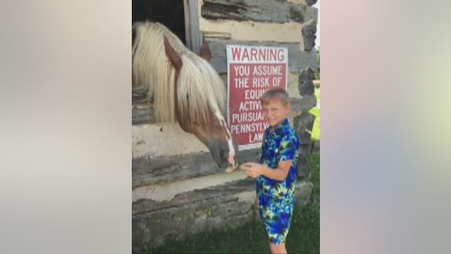 10-year-old Lawrenceville boy in ICU after being struck by a minivan