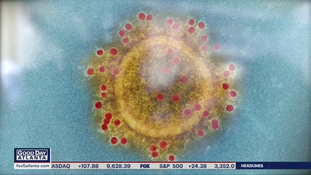 Doctor: Don't cancel your Caribbean cruise because of coronavirus