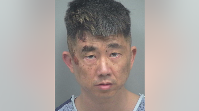 Police: Man runs into traffic after allegedly killing mom