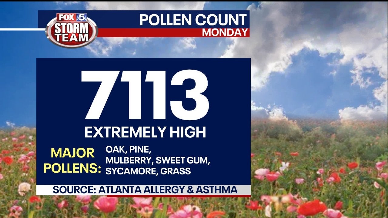 Atlanta suffering from 'extremely high' pollen count