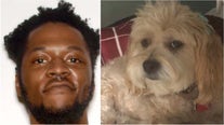 Police: Burglar steals 2 dogs from Dunwoody home