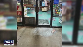 Puppies worth $25K stolen from Dunwoody pet store