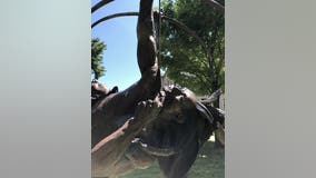 KROD: The courage to lead