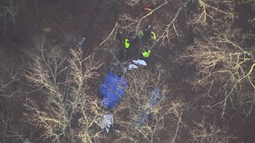 Coroner: 3 Texas businessmen killed in north Georgia plane crash identified