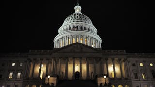 Georgia Senate Primaries Locked In