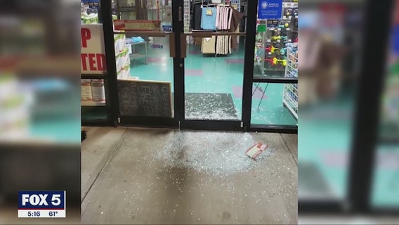 Puppies worth $25K stolen from Dunwoody pet store