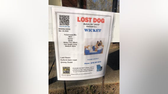 Therapy dog stolen during Buford home break-in