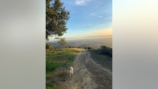 Going stir crazy in quarantine? Take a hike