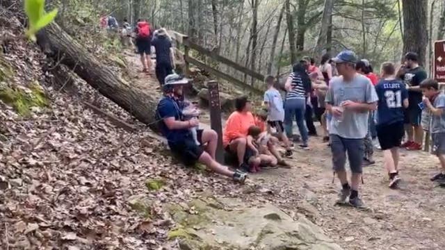 Thousands of hikers crowd Georgia trails as surrounding states close parks