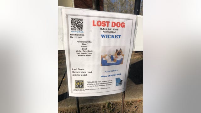 Therapy dog stolen during Buford home break-in