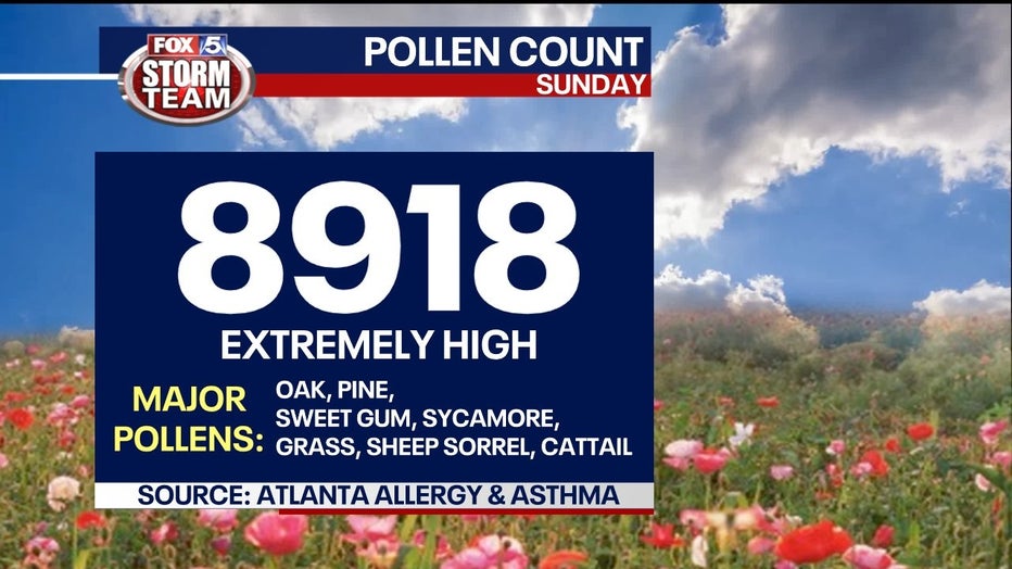Atlanta pollen count 2nd highest in recorded history