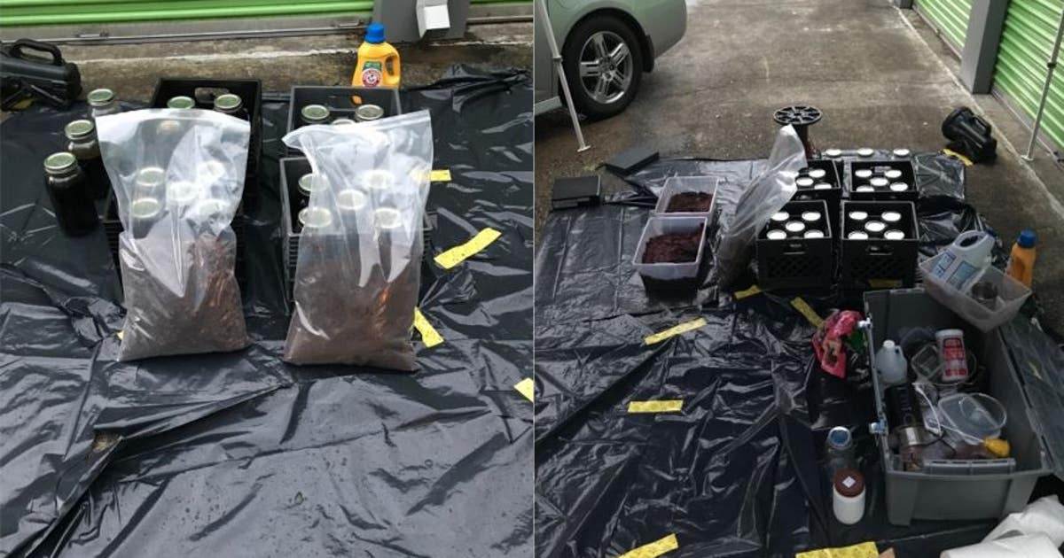 Acworth police make arrest in drug investigation | FOX 5 Atlanta