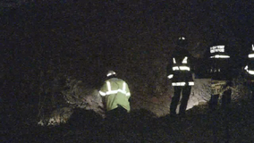 Firefighters rescue 2 from DeKalb County home trapped by fallen tree