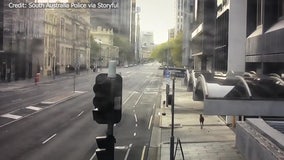 Kangaroo hops through empty Adelaide streets