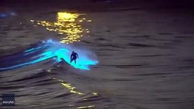 Surfer rides surreal bioluminescent waves off California coast