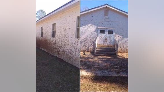 'Despicable' vandals target Jasper County church twice, sheriff says