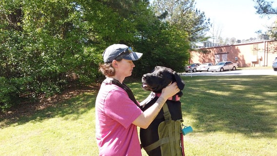 Foster families need for service dogs