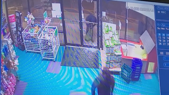 Police: Thieves steal pricey puppies from Dunwoody pet store