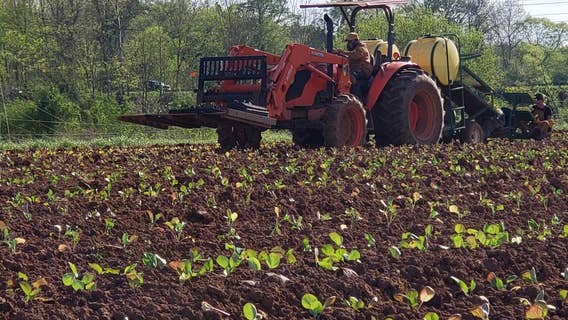 Restaurants, farmers' markets shut down, here's how the coronavirus pandemic is impacting farmers