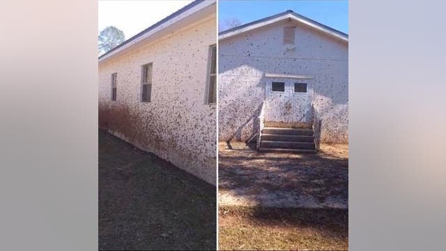 'Despicable' vandals target Jasper County church twice, sheriff says