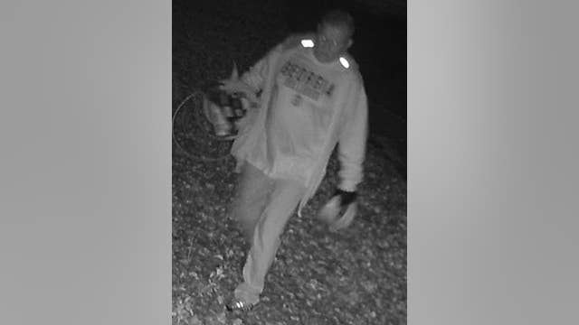 Gwinnett police search for robbery suspects