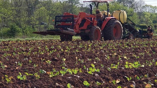 Restaurants, farmers' markets shut down, here's how the coronavirus pandemic is impacting farmers