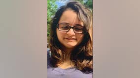 Police searching for missing Canton girl