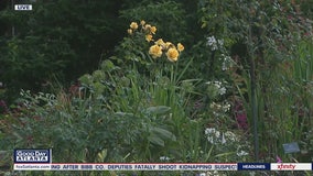 Atlanta Botanical Garden reopens to general public 