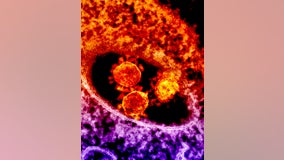 New Mexico man, 108, survives coronavirus a century after living through Spanish flu, report says