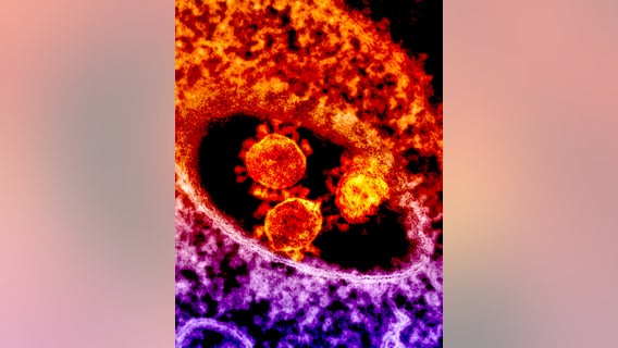 New Mexico man, 108, survives coronavirus a century after living through Spanish flu, report says