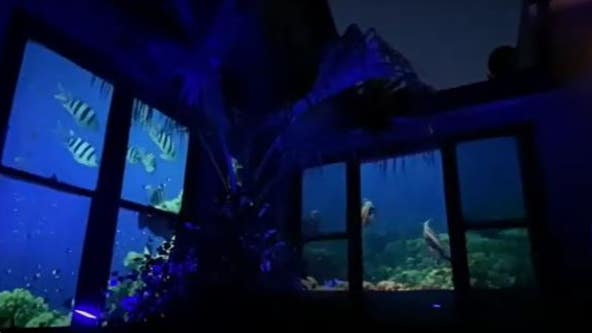 Family turns home into aquarium for grandma with dementia