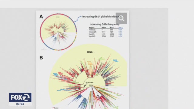 Mutant coronavirus strain more dominant worldwide, possibly more infectious