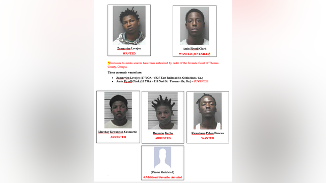 11 arrested in Georgia for stealing guns from Florida store