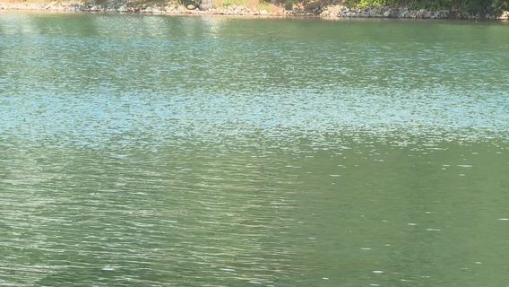 Man pulled from Lake Lanier near Van Pugh Park dies