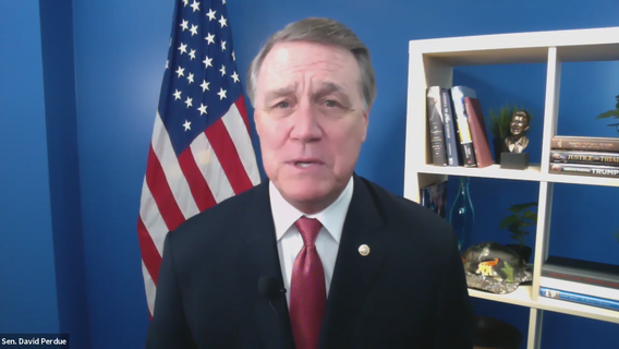 Sen. David Perdue hopes to maintain 'outsider' appeal in re-election bid