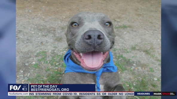 Pet of the Day: June 12, 2020