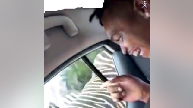 Deputies: Man smacked Zebra, posted to social media