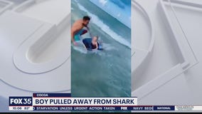 'Hey buddy, there's a shark right there!': Off-duty police officer pulls boy away from shark