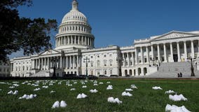 ‘We wanted the shoes to symbolize a life’: 164 pairs of clogs laid on Capitol lawn for nurses lost to COVID-19