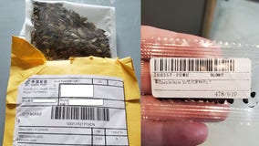 Officials warn Georgians about mysterious seeds possibly mailed from China