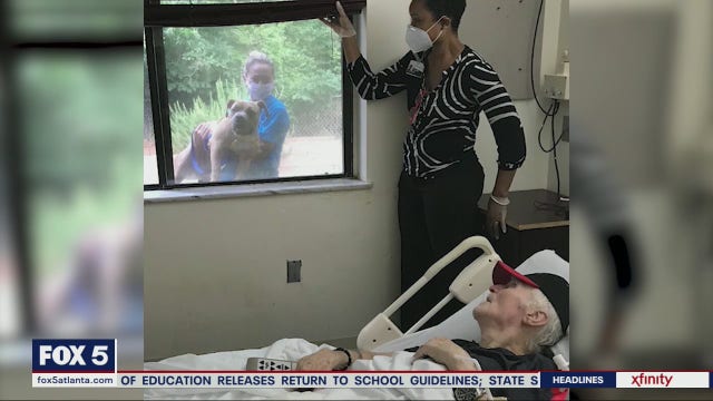 Shelter dogs surprise quarantined seniors outside their windows