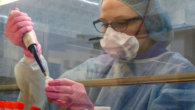 Here is what COVID-19 antibody testing can and cannot tell us