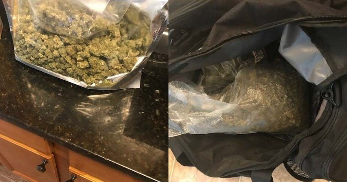 Police: Drugs and cash seized, 1 arrested at South Fulton home | FOX 5 ...