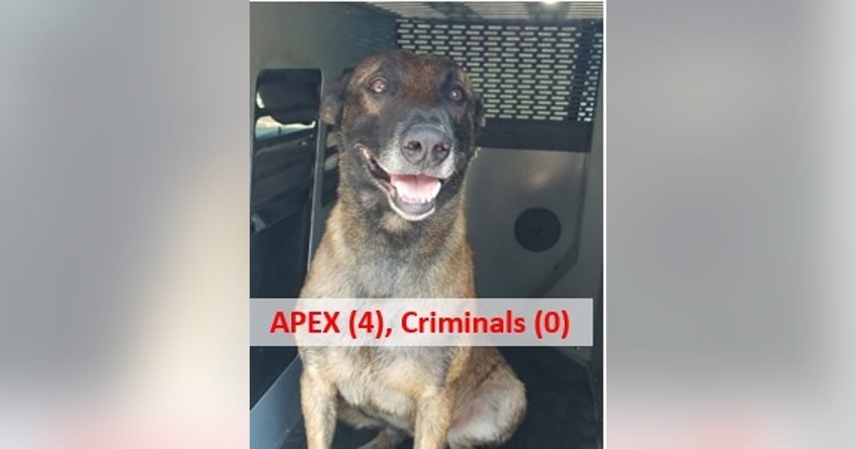 K-9 officer finds Georgia fugitive, car theft suspect under trash can ...